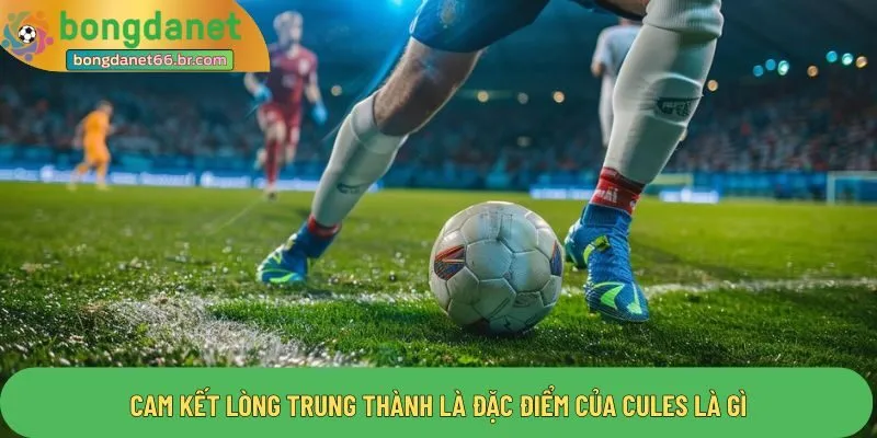 Cam kết lòng trung thành là đặc điểm của Cules là gì