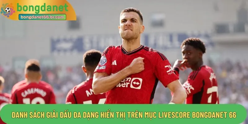 Danh sách giải đấu đa dạng hiển thị trên mục livescore bongdanet 66