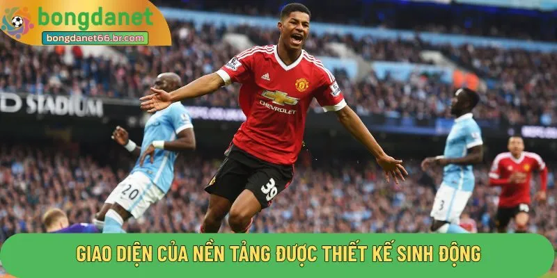 Giao diện của nền tảng được thiết kế sinh động