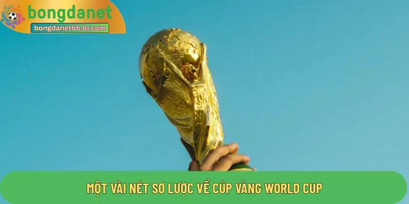 Một vài nét sơ lược về cúp vàng world cup