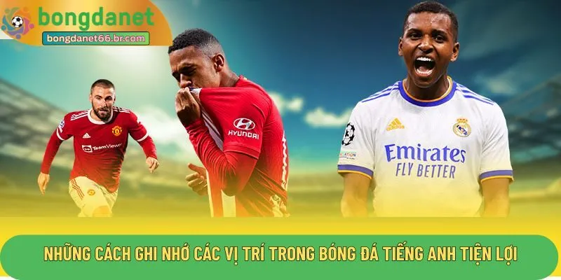 Những cách ghi nhớ các vị trí trong bóng đá tiếng anh tiện lợi