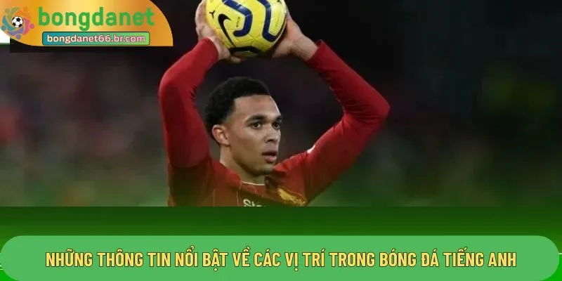 Những thông tin nổi bật về các vị trí trong bóng đá tiếng anh