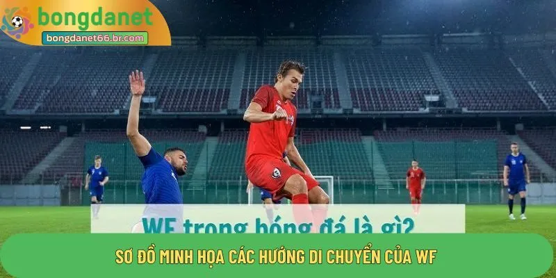 Sơ đồ minh họa các hướng di chuyển của wf