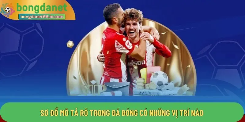 Sơ đồ mô tả rõ trong đá bóng có những vị trí nào