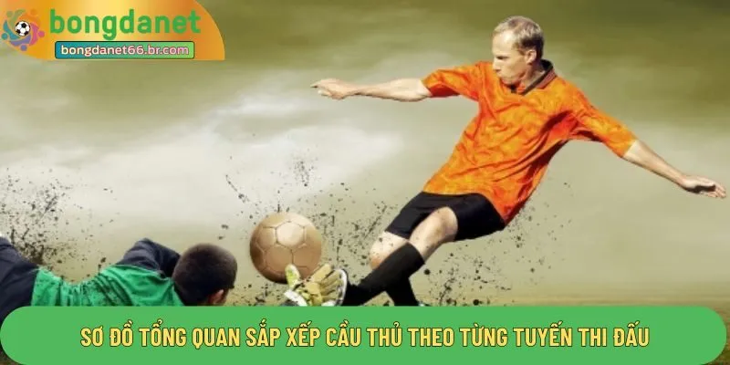 Sơ đồ tổng quan sắp xếp cầu thủ theo từng tuyến thi đấu