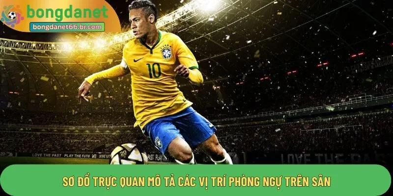 Sơ đồ trực quan mô tả các vị trí phòng ngự trên sân