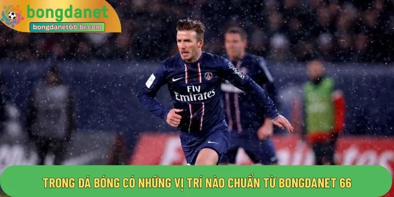 Trong Đá Bóng Có Những Vị Trí Nào