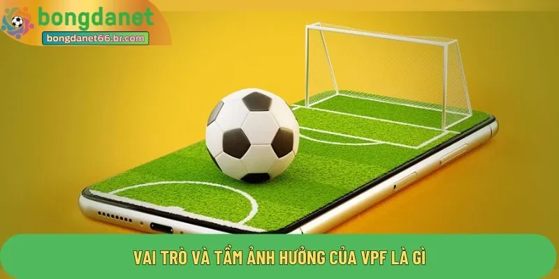 Vai trò và tầm ảnh hưởng của VPF là gì