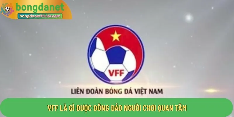 VFF là gì được đông đảo người chơi quan tâm